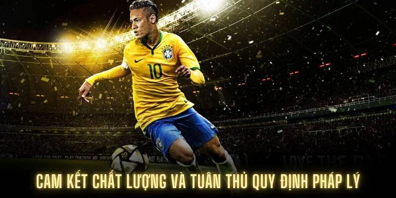 Cam kết chất lượng và tuân thủ quy định pháp lý