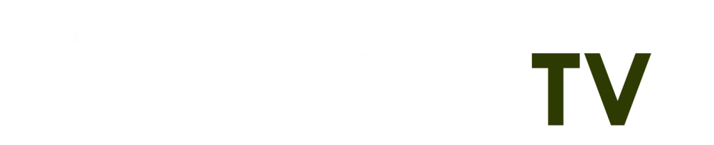 logo-90phuttv