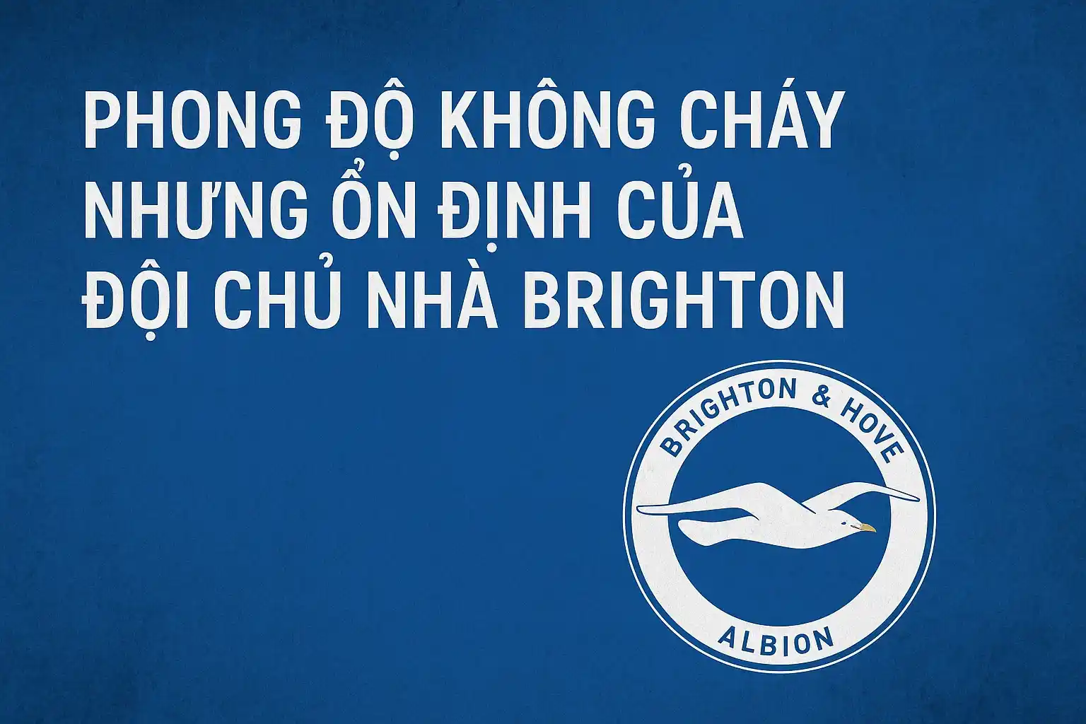 Phong độ không cháy nhưng ổn định của đội chủ nhà Brighton
